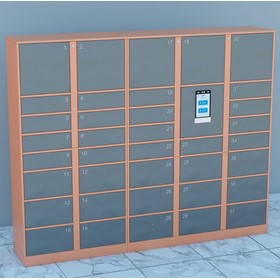 Tủ đồ thông minh Stanalone KZ-LCI.F2- Hệ tủ độc lập 