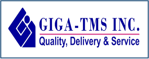 Giga-TMS